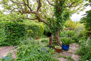 Garden- click for photo gallery